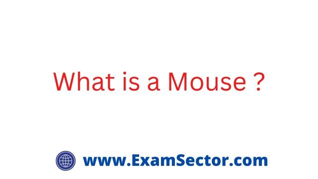 What is a Mouse ?