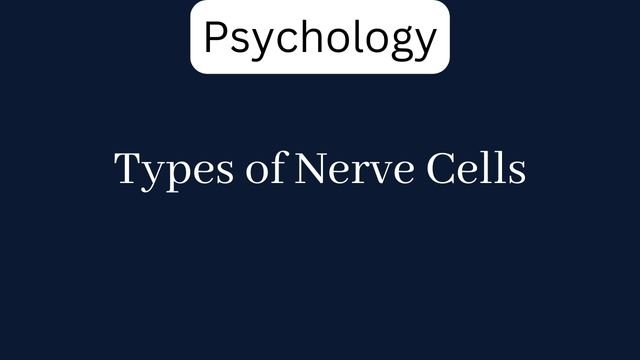 Types of Nerve Cells