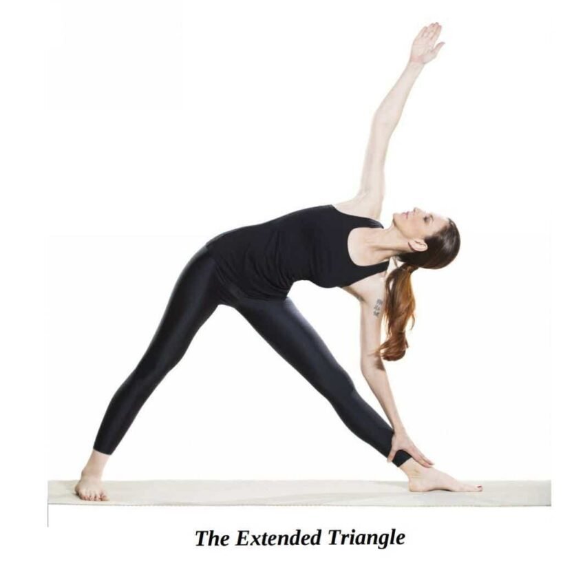 How To Do Extended Triangle Pose Utthita Trikonasana In Yoga Examsector