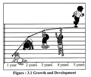 Definition of human Growth and Development