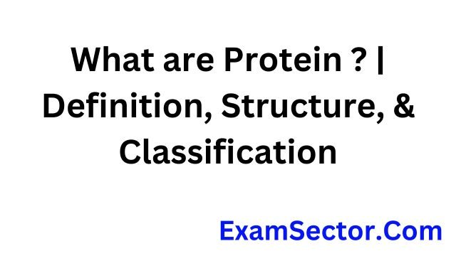 What are Protein ? | Definition, Structure, & Classification