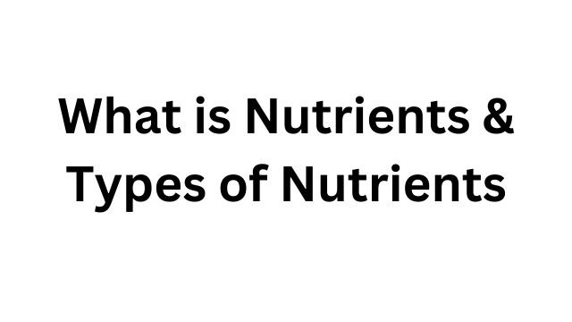 What is Nutrients & Types of Nutrients