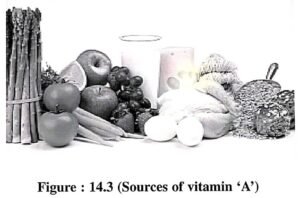 Functions of vitamin ‘A’—