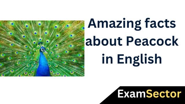 Amazing facts about Peacock in English