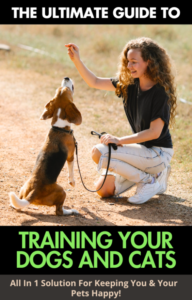 Training Your Dogs and Cats: A Comprehensive Guide