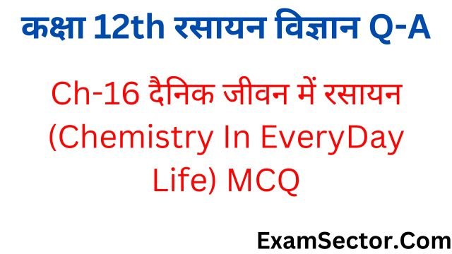 EveryDay Life Objective Questions in Hindi
