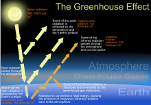 हरित गृह प्रभाव (Greenhouse Effect in Hindi)