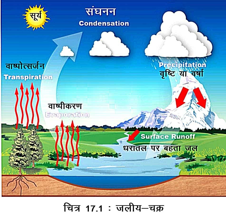 जल चक्र - जल चक्र की प्रक्रिया और महत्व (Water Cycle Definition in Hindi)