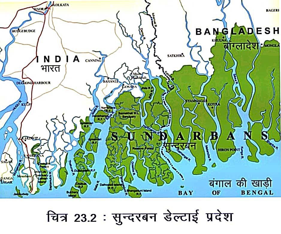 गंगा नदी का पारिस्थितिकी तंत्र