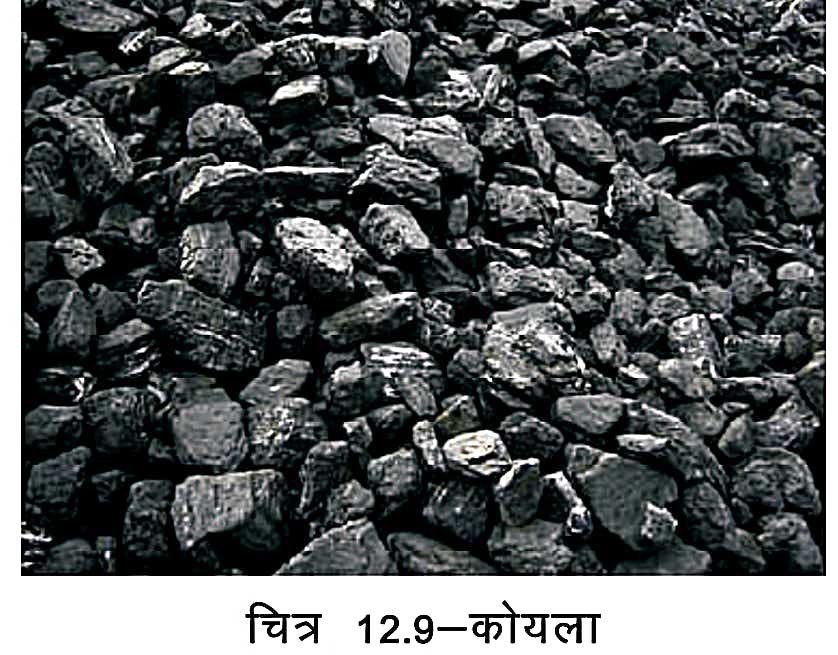 Conservation of coal and petroleum in Hindi