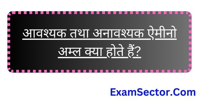 Examsector Sarkari Result Latest Job Updates 2024 Sarkari Yojana