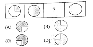 RSMSSB Informatics Assistant Exam Paper 21 January 2024 (Answer Key)