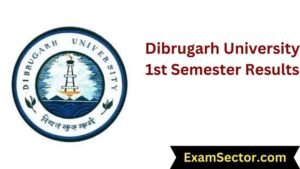 Dibrugarh University 1st Semester Results 2024, Check